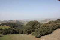 9060_mamarrokosp164.JPG