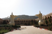 9063_mamarrokosp167.JPG