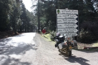 9066_mamarrokosp170.JPG