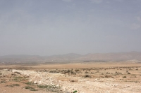 9092_mamarrokosp200.JPG