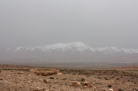 9099_mamarrokosp207.JPG