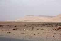 9100_mamarrokosp208.JPG