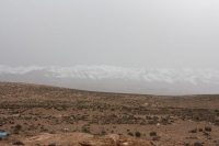 9102_mamarrokosp210.JPG