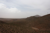 9105_mamarrokosp213.JPG