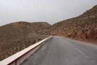 9106_mamarrokosp214.JPG