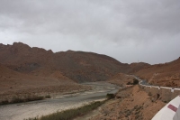 9123_mamarrokosp231.JPG