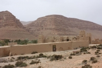 9130_mamarrokosp238.JPG