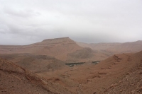 9132_mamarrokosp240.JPG