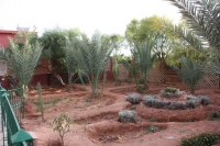 9136_mamarrokosp244.JPG