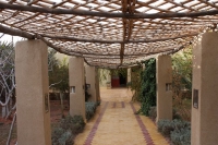 9138_mamarrokosp246.JPG