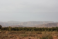 9140_mamarrokosp248.JPG