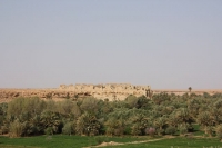 9143_mamarrokosp249.JPG