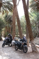 9153_mamarrokosp259.JPG