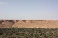 9155_mamarrokosp261.JPG