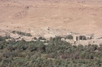 9162_mamarrokosp268.JPG