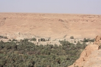 9163_mamarrokosp269.JPG