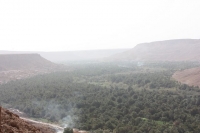9164_mamarrokosp270.JPG
