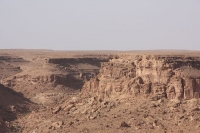 9168_mamarrokosp274.JPG