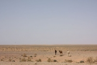9174_mamarrokosp280.JPG