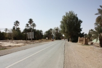9178_mamarrokosp284.JPG