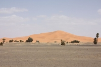 9207_mamarrokosp313.JPG