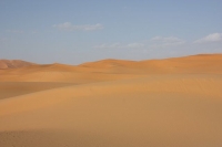 9232_mamarrokosp338.JPG