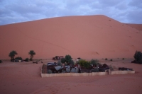 9282_mamarrokosp394.JPG