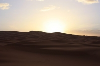 9288_mamarrokosp400.JPG