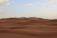 9289_mamarrokosp401.JPG