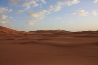 9290_mamarrokosp402.JPG