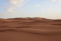 9291_mamarrokosp403.JPG