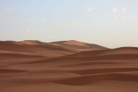 9292_mamarrokosp404.JPG