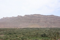 9315_mamarrokosp427.JPG