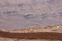 9318_mamarrokosp430.JPG
