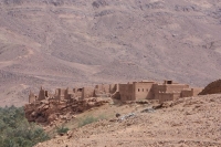 9319_mamarrokosp431.JPG