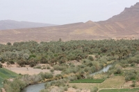 9322_mamarrokosp434.JPG