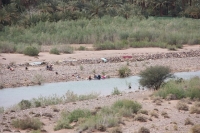9325_mamarrokosp437.JPG