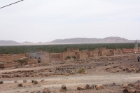 9333_mamarrokosp445.JPG