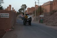 9340_mamarrokosp452.JPG