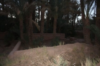 9344_mamarrokosp456.JPG