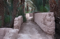 9347_mamarrokosp459.JPG