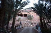 9350_mamarrokosp462.JPG