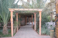 9355_mamarrokosp467.JPG