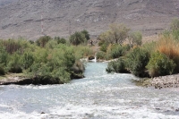 9376_mamarrokosp489.JPG
