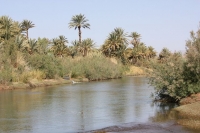 9377_mamarrokosp490.JPG