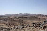 9382_mamarrokosp495.JPG