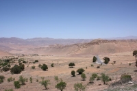 9389_mamarrokosp502.JPG