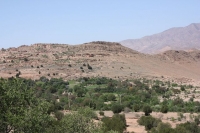 9391_mamarrokosp504.JPG