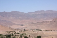 9392_mamarrokosp505.JPG