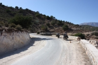 9401_mamarrokosp514.JPG